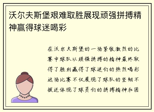 沃尔夫斯堡艰难取胜展现顽强拼搏精神赢得球迷喝彩